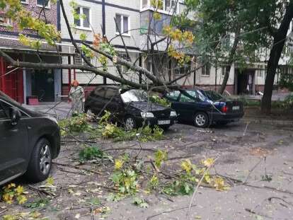 42996335_1527105650722371_5982720290336014336_n (1)