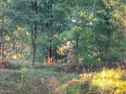 43447354_2403219829689424_8451109777135632384_n