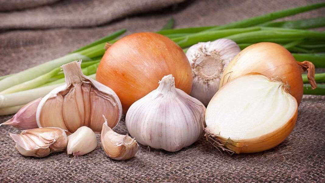 onion-and-garlic-01