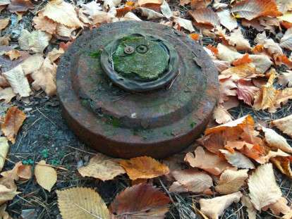 44488436_919837791535610_4813310724107403264_n