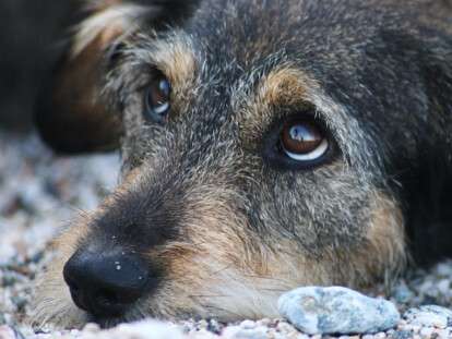 9f205087e383bb3221894ab75c654870