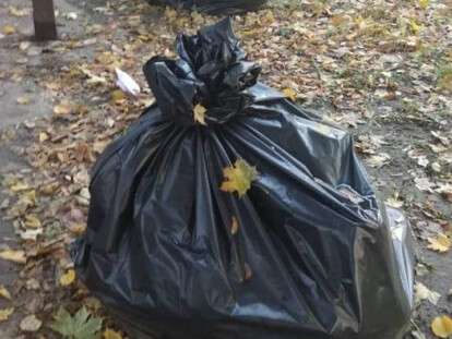 44950816_1915486008568220_7549804847051046912_n (1)