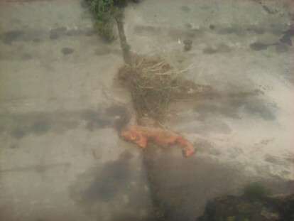 45201003_1907339059384626_8274023520992755712_n