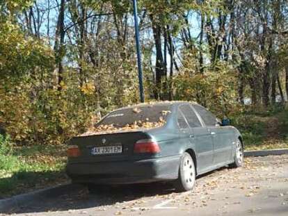 45741487_2118266784875121_5356371177902178304_n