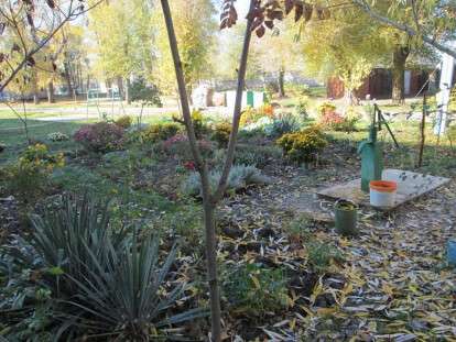 45650888_732117673825041_6942167768959549440_n