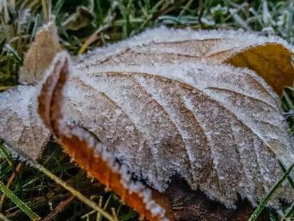 45693908_454984678361116_3319476937704865792_n