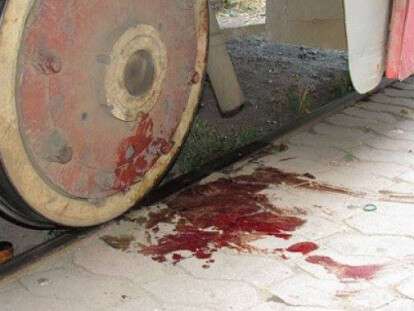 46030521_10213393373128526_8341336327219838976_n