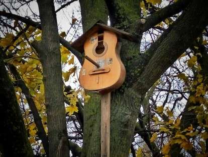 46387219_2014344598633439_510903548318318592_n