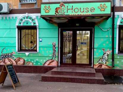 46624106_981697038691084_3382397817749241856_n