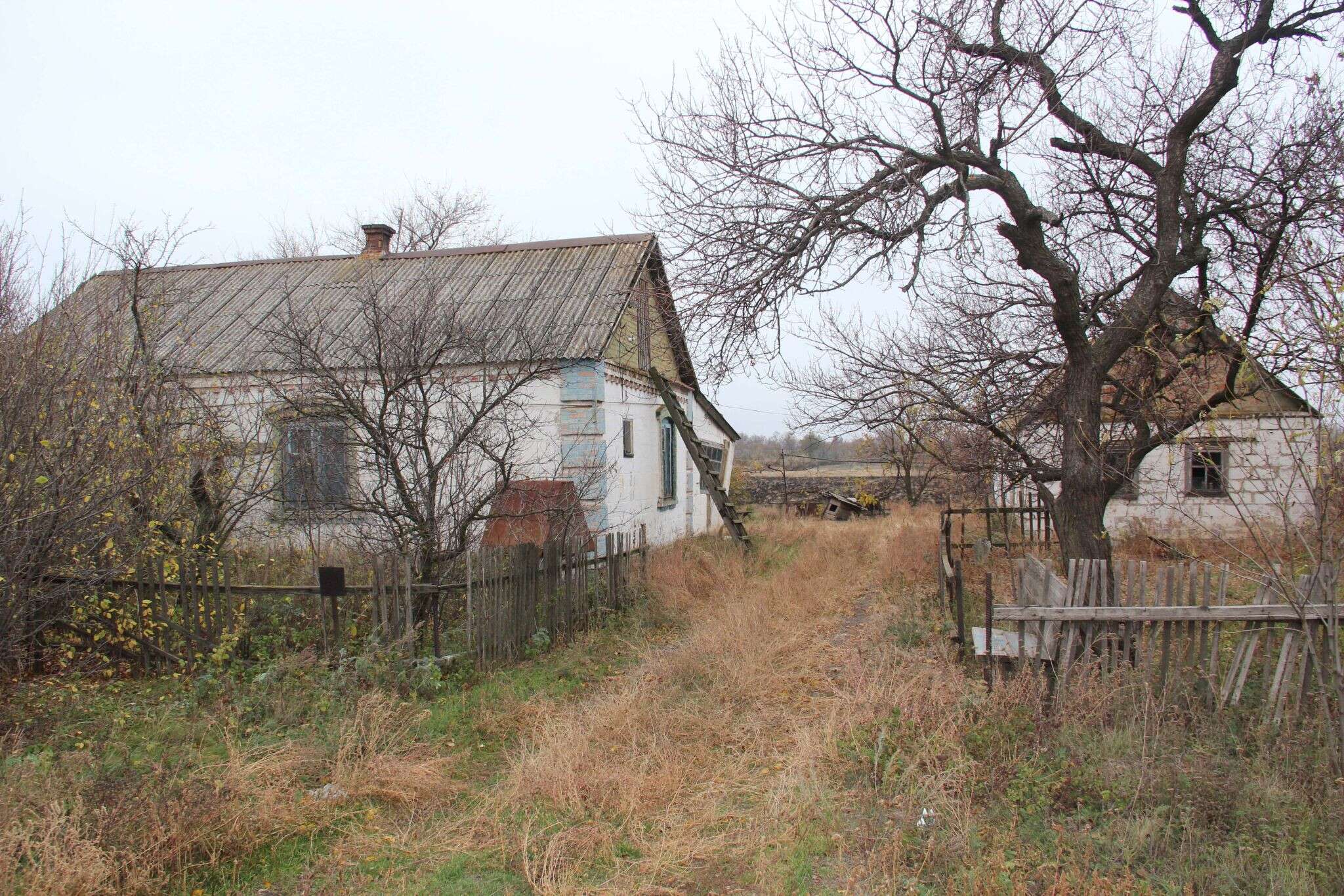 Вербовое запорожская. Запорожская обл село Днепровка. Запорожская облпологский район район. Украинское село вымирает. Село Запорожье Запорожская область.