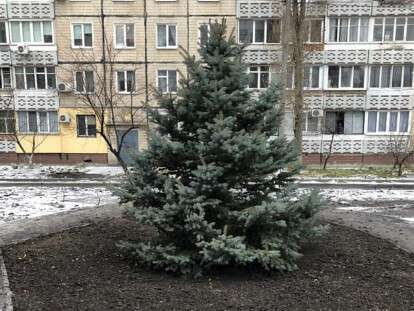 47459954_10210722597901477_5351068881861476352_n