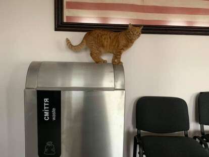 47682171_10210727949635267_5276318601026994176_n