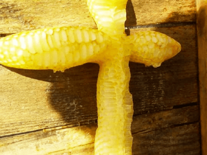 Безымянный