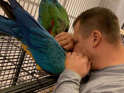 48417777_2032191136862773_46508190803689472_n