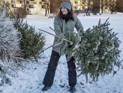 660x441_0_cbb500cf94885bc5932e6fbc08362147@785x525_0xc0a839a2_16478304941484560868 (1)