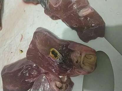 49948826_10210398984169298_3549492369348886528_n