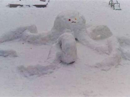 50456907_2207053452844819_2439248855250763776_n