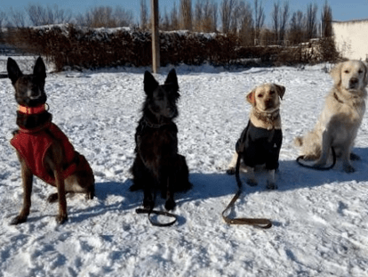 соб