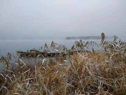 52357793_2483157388621917_1345359696147513344_n