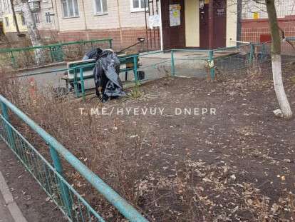 53450786_2238883992840853_1184832961292271616_n