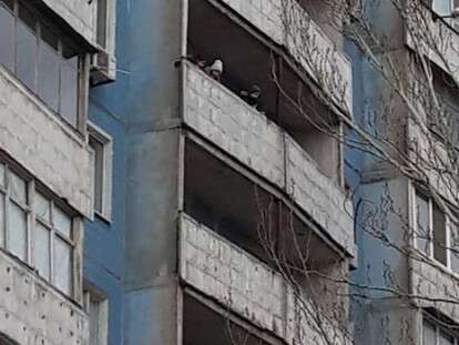 52937494_647212435710938_477024506985054208_n