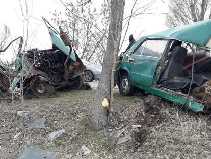 52977686_2227442384196712_2823850545108746240_n