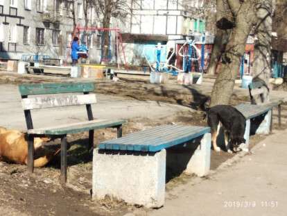 пол