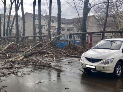 picturepicture1552237859730020925102953671