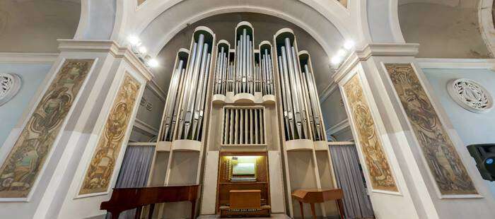 organ