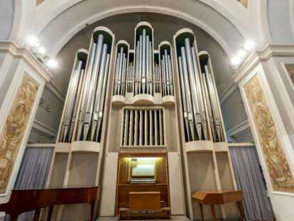 organ