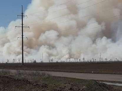 54514161_348195825796655_1570979722685317120_n