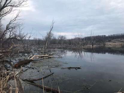 55622753_2238998879707729_6700629365262123008_n