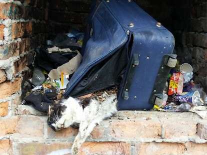 56578101_2122514257797531_6831697606628868096_n