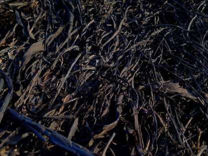 56531092_2166309596778410_4491951920876879872_n