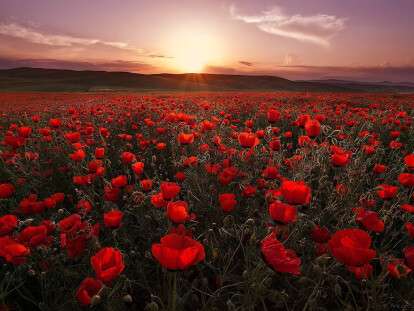 1400319323_241772912