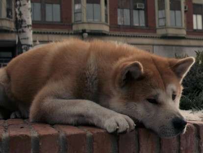 post-2108942-1328160593