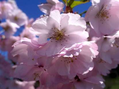 57165995_2133010423420865_8368121014588014592_n