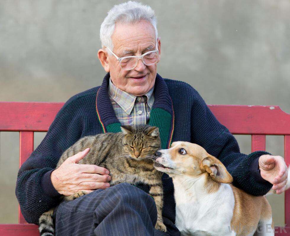 man-with-cat-and-dog
