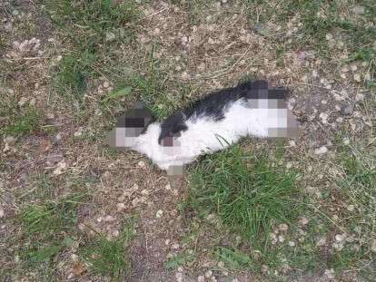 изображение_viber_2019-05-21_11-25-59