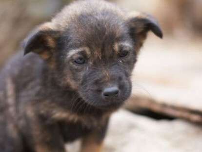 5a4bb581f237f1d0cef8b1767f361c75 (1)