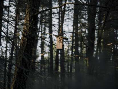 no-translate-detected_23-2147831051