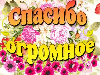 спасибо