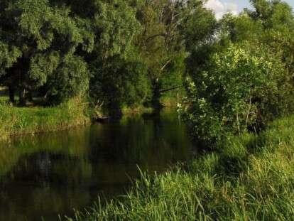 ae9afb0eb90798ffda223d3cc987f971