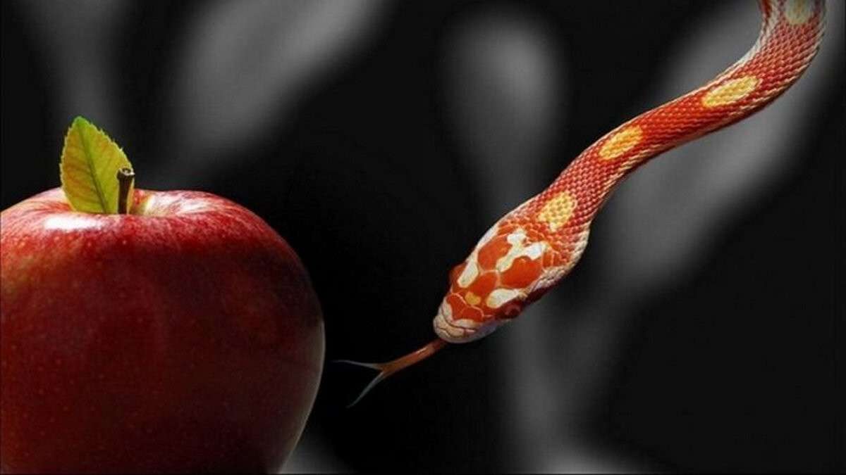 snake-apple