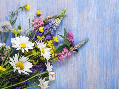 Wild flowers