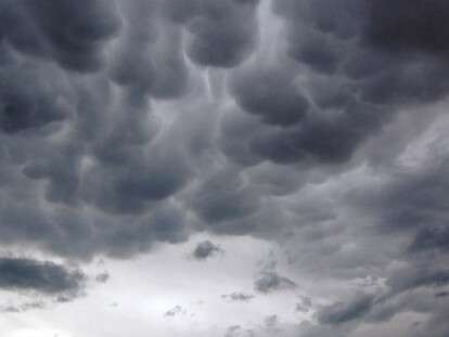 cef78554-b6ef-4fb6-9321-221736cf736e_1