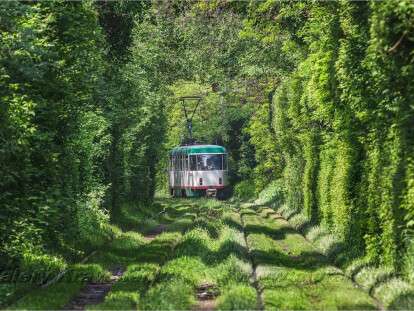 изображение_viber_2019-06-26_17-47-09