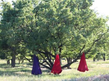 65205413_2293965384043869_4956154369935409152_n_1.jpg.pagespeed.ce.vnpRE6lwha