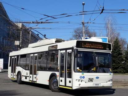 141344_large