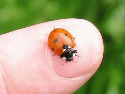 82i57ff61adbc4ce1.52792776-620x330